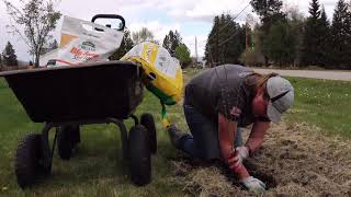 Planting a Cotoneaster Hedge  Season 2021 Episode 19 [upl. by Anovad]