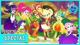 MLP Equestria Girls  Holidays Unwrapped HD [upl. by Nyad713]