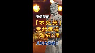 凡事謝恩  秦始皇的「不死藥」竟然藏在《聖經》里？真相太震撼！ 基督徒 基督徒信仰 十字架 神 敬拜詩歌 信仰 感謝主 人生感悟 人生 海外华人 启示录 家庭 人生 婚姻 [upl. by Pennebaker223]