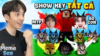 2 CÁ SHOW KEY HẾT KỸ NĂNG CỦA TẤT CẢ TRÁI ÁC QUỶ TRONG MEME SEA [upl. by Sterner]