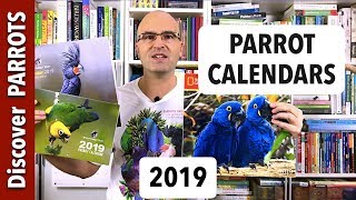 Parrot Calendars 2019  Discover PARROTS [upl. by Boswell]