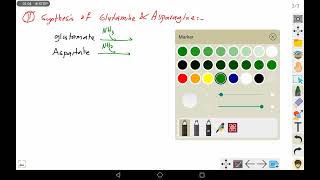 17 Synthesis of Glutamin and Asparagine [upl. by Netsirhk988]