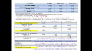 Proyecto Presupuesto Financiero [upl. by Rramal]