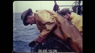 Trawler Fishing at Sea 1960s  Film 1008982 [upl. by Burnley]