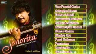 Rajhesh Vaidhya Veena  A Tribute To Isaignani Ilayaraja  Instrumental  Tamil Film Super hit Songs [upl. by Cilla]