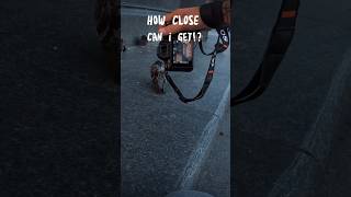 POV street photography HOW close can I get shorts [upl. by Arykahs]