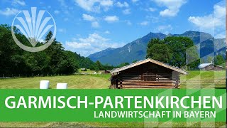 Landwirtschaft in Bayern Landkreis Garmisch  Partenkirchen in Oberbayern [upl. by Buffy755]