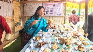 MUST ATTEND ANNUAL MUSHROOM FESTIVAL BHUTAN [upl. by Eidnyl]