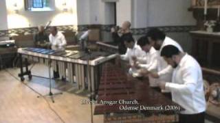 MARIMBA NANDAYAPA quotGuadalajaraquot Live in Denmark 2006 [upl. by Ynnej320]