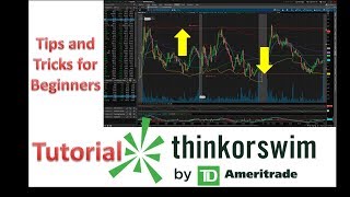 Think or Swim Tutorial for Beginners TD Ameritrade [upl. by Barny]