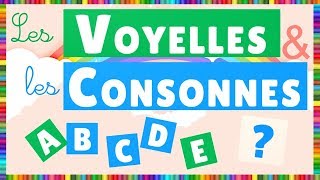 Les consonnes et les voyelles CP  CE1  Cycle 2  Français  Lecture  FLE [upl. by Aicats241]