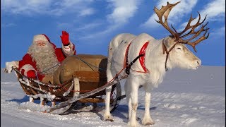 Santa Claus for kids 🦌🎅 Best reindeer rides of Father Christmas in Lapland Finland for children [upl. by Delwyn113]