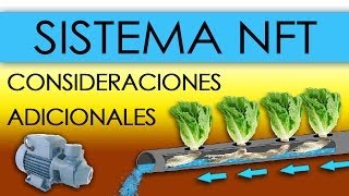 HIDROPONÍA  SISTEMA NFT EN LECHUGAS Nutrient Film Technique [upl. by Lefkowitz456]