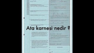 Lojistik Dersleri  ATA Karnesi ATA CARNET Nedir  Nerelerde Kullanır [upl. by Ailed]