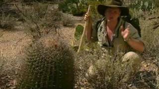 The Arizona Desert Ray Mears S1E5 Part 3 [upl. by Ricardo654]