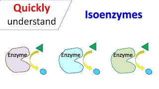 Isoenzymes [upl. by Aiza262]