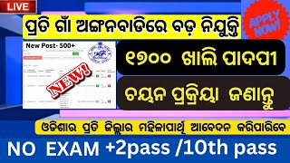 Odisha Anganwadi Requiment 2024  Selection process  ଅଙ୍ଗନ ବାଡ଼ି ରେ ଚାକିରୀ କିପରି କରିବେ ଜଣାନ୍ତୁ [upl. by Nnylhsa512]