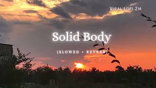 Solid Body Lofi Song  Slowed  Reverb Sheenam Katlic Raju Punjabi Haryanvi Song lofi 3dsong [upl. by Schuster]