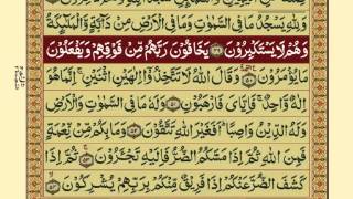 QuranPara1430Urdu Translation [upl. by Gollin]