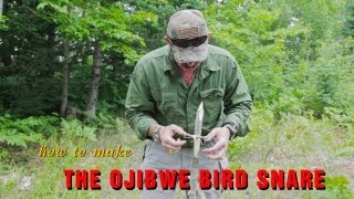 How to Make an Ojibwe Bird Snare [upl. by Nahpos64]