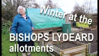 Winter at Bishops Lydeard allotments Somerset UK 2019 [upl. by Orvie359]