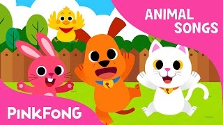 Baby Animals  Animal Songs  Pinkfong Songs for Children [upl. by Luamaj]