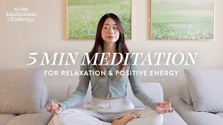 5 Minute Meditation for Relaxation amp Positive Energy  30 Day Meditation Challenge [upl. by Aikit801]