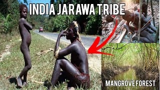 Tribes of Andaman II Jarawa Sentinelese Onge Tribe  Mangrove forest [upl. by Schwitzer]