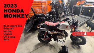 Upgraded 2023 Honda Monkey Bike  Exhaust Intake amp Fender Delete [upl. by Ikkaj]