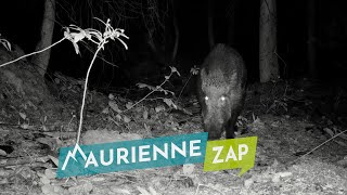 Maurienne Zap 671 [upl. by Laura540]