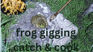 frog gigging catch amp cook got chased by a snake [upl. by Adnarahs]