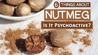 6 Things About Nutmeg  Is It Really Psychoactive [upl. by Aneladgam]