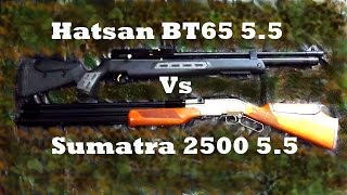 🔴 PCP Hatsan BT65 Vs PCP SUMATRA [upl. by Kneeland]