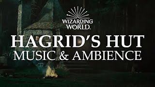 Hagrids Hut  Harry Potter Music amp Ambience  Rain and Night Sounds Near the Forbidden Forest [upl. by Akemit]