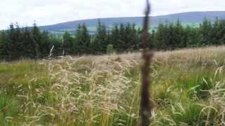 A Walk around Beacon Fell Forest of bowland Lancashire [upl. by Erbas874]