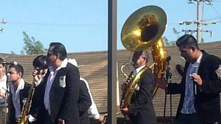 Banda Guanajuatense La Cachetona Petacona En Vivo [upl. by Jordana502]