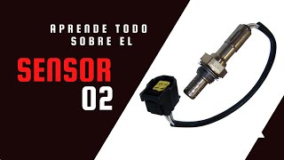 🚗 Sensor de Oxígeno O2 Qué es Donde va y Fallas【Actualizado 2024】🔥 [upl. by Adnamma948]