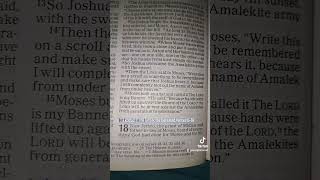 Exodus17The Amalkites DefeatedVerses1516 Exodus17 Amalekites Moses Aaron God NIV Bible [upl. by Theresina]