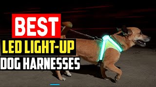 ✅ Top 5 Best LED Light Up Dog Harnesses in 2024 [upl. by Tedder]