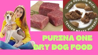 The Truth About Purina One Dry dog Food And Cat Food [upl. by Aldas570]