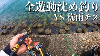 全遊動沈め釣りで梅雨チヌ撃破！【初コラボ】【鹿児島釣り日誌】【フカセ釣り】 [upl. by Groot]