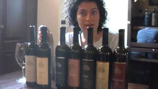 Elisa Scavino talking us through their Barolo Crus [upl. by Nelhsa]