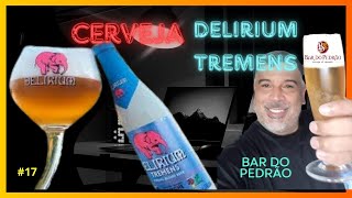 Cerveja Delirium Tremens cerveja rogsbeer canalumacervejapordia beer [upl. by Arahsak165]