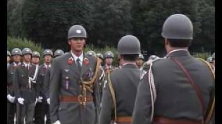 Official Parade in Vienna [upl. by Nylave986]