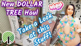 New EXCITING Dollar Tree Haul [upl. by Eirrot]