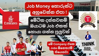 Job Money හොරුන්ට අහුවෙන්න එපා  Jos in Transguard Company  5142024 [upl. by Enahc136]