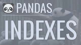 Python Pandas Tutorial Part 3 Indexes  How to Set Reset and Use Indexes [upl. by Enetsuj583]