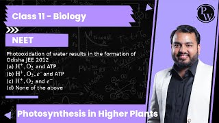 Photooxidation of water results in the formation of Odisha JEE 2012 a H O2 and ATP b H [upl. by Rowen]