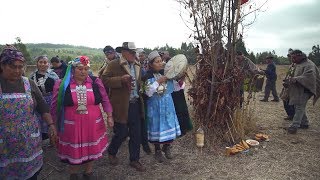 Los mapuches luchan por su lengua y su cultura [upl. by Eeloj]