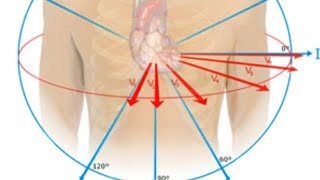 Bifascicular Block [upl. by Granny394]